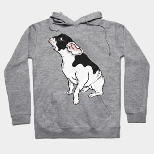 Black and white french bulldog Hoodie